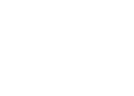Our partners